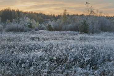 Нижегородская область — Нижегородская область — фотограф Владимир Рябков