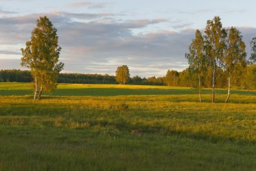 Нижегородская область — Нижегородская область — фотограф Владимир Рябков