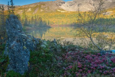 Хибины-Кандалакша 2019 — Золотая осень Кольского полуострова — фотограф Владимир Рябков