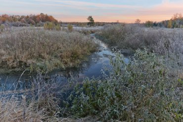 Нижегородская область — Нижегородская область — фотограф Владимир Рябков