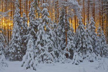 Нижегородская область — Нижегородская область — фотограф Владимир Рябков
