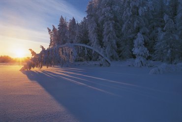 Якутия (От -40 до -60) — Якутия — фотограф Владимир Рябков