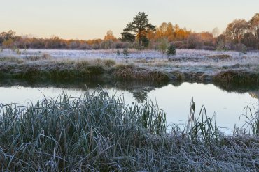 Нижегородская область — Нижегородская область — фотограф Владимир Рябков