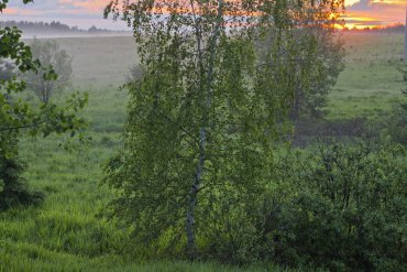 Нижегородская область — Нижегородская область — фотограф Владимир Рябков