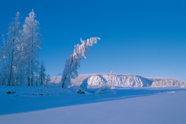 Якутия (От -40 до -60) — Якутия — фотограф Владимир Рябков