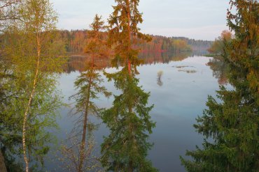 Подмосковье — Подмосковье — фотограф Владимир Рябков