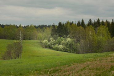 Подмосковье — Подмосковье — фотограф Владимир Рябков