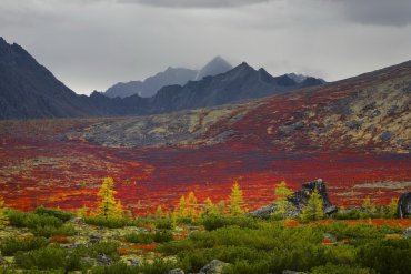 Джека Лондона август-сентябрь 2017 — Фототур на озеро Джека Лондона. Август 2017 — фотограф Владимир Рябков