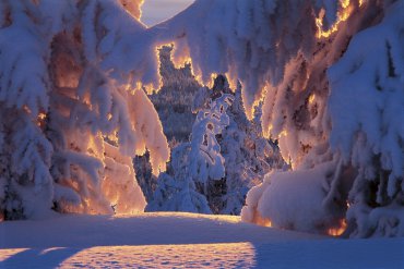 Якутия (От -40 до -60) — Якутия — фотограф Владимир Рябков