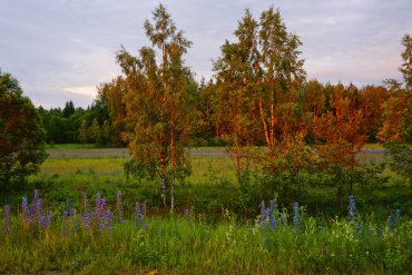 Андреапольские озера — Андреапольские озера — фотограф Владимир Рябков