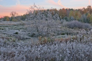 Нижегородская область — Нижегородская область — фотограф Владимир Рябков