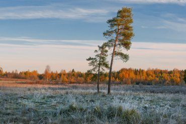 Нижегородская область — Нижегородская область — фотограф Владимир Рябков