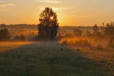 Нижегородская область — Нижегородская область — фотограф Владимир Рябков