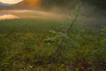 Центральная колыма — Центральная Колыма — фотограф Владимир Рябков