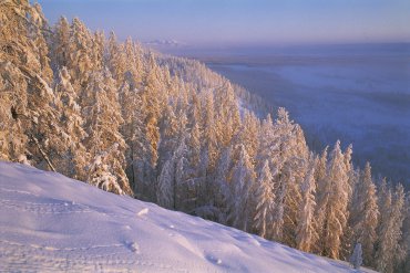 Долина реки Артык. Январь. Якутия. Оймяконский район. — Якутия — фотограф Владимир Рябков