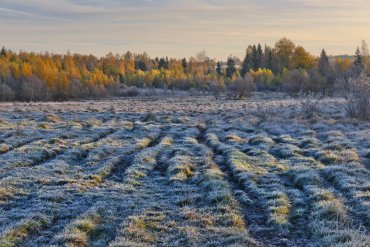 Нижегородская область — Нижегородская область — фотограф Владимир Рябков