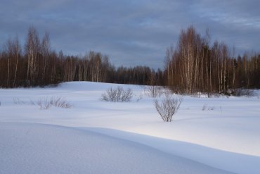 Нижегородская область — Нижегородская область — фотограф Владимир Рябков