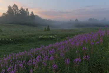 Андреапольские озера — Андреапольские озера — фотограф Владимир Рябков