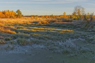 Нижегородская область — Нижегородская область — фотограф Владимир Рябков
