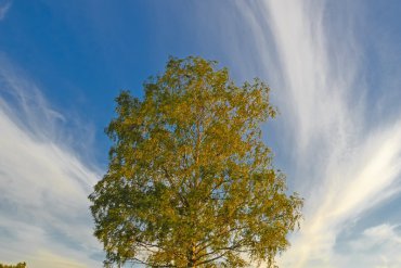 Нижегородская область — фотограф Владимир Рябков