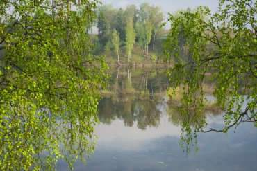 Подмосковье — Подмосковье — фотограф Владимир Рябков
