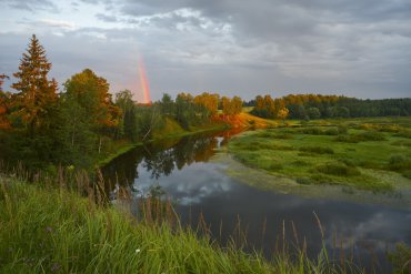 Подмосковье — Подмосковье — фотограф Владимир Рябков
