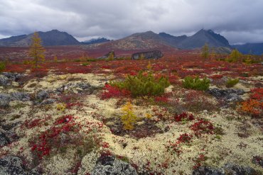 Озеро Джека Лондона — Фототур на озеро Джека Лондона 2017 — фотограф Владимир Рябков
