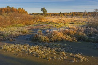 Нижегородская область — Нижегородская область — фотограф Владимир Рябков
