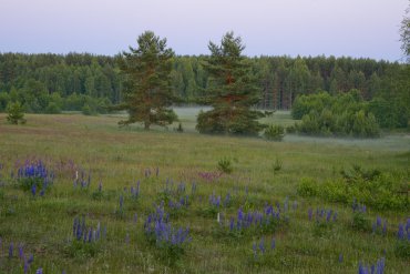 Нижегородская область — Нижегородская область — фотограф Владимир Рябков