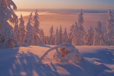 2018 Фототур на Полюс Холода — Фототур на Полюс Холода 2018 — фотограф Владимир Рябков