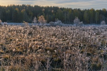 Нижегородская область — Нижегородская область — фотограф Владимир Рябков