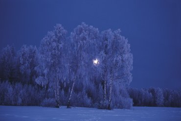 Нижегородская область — Нижегородская область — фотограф Владимир Рябков