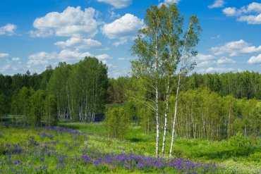 Владимирская область — Владимирская область — фотограф Владимир Рябков