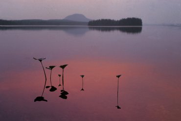 Тыва — Тыва — фотограф Владимир Рябков