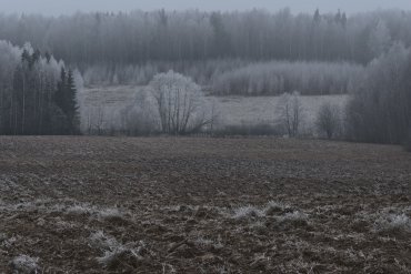Нижегородская область — Нижегородская область — фотограф Владимир Рябков