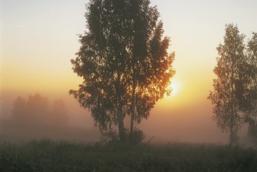 Волга — Волга — фотограф Владимир Рябков