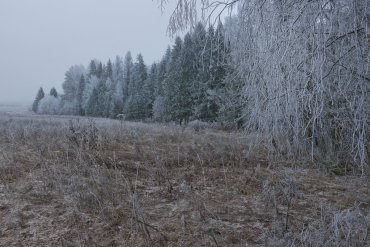 Нижегородская область — Нижегородская область — фотограф Владимир Рябков