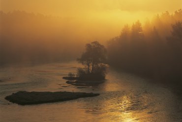 Подмосковье — Подмосковье — фотограф Владимир Рябков