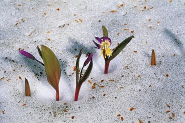 Кузнецкий Алатау — Кузнецкий Алатау — фотограф Владимир Рябков