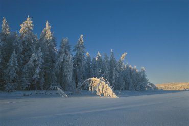 Якутия (От -40 до -60) — Якутия — фотограф Владимир Рябков