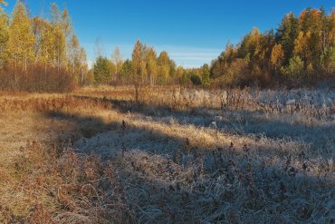 Нижегородская область — Нижегородская область — фотограф Владимир Рябков