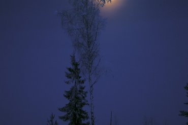 Нижегородская область — Нижегородская область — фотограф Владимир Рябков