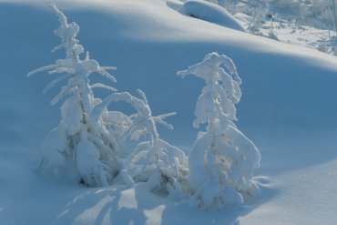 Якутия (От -40 до -60) — Якутия — фотограф Владимир Рябков