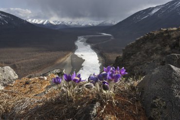 Река Индигирка — Река Индигирка — фотограф Владимир Рябков