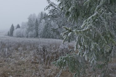 Нижегородская область — Нижегородская область — фотограф Владимир Рябков