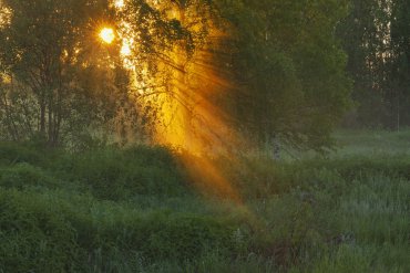 Нижегородская область — Нижегородская область — фотограф Владимир Рябков