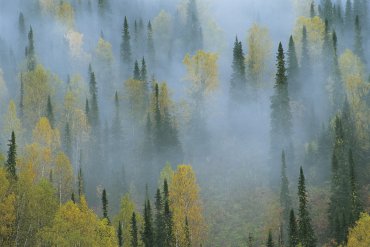 Кузнецкий Алатау — Кузнецкий Алатау — фотограф Владимир Рябков