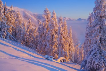 2018 Фототур на Полюс Холода — Фототур на Полюс Холода 2018 — фотограф Владимир Рябков