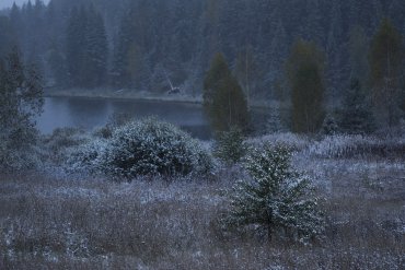 Андреапольские озера — Андреапольские озера — фотограф Владимир Рябков