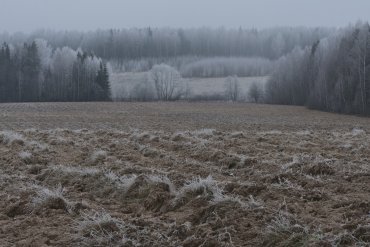 Нижегородская область — Нижегородская область — фотограф Владимир Рябков